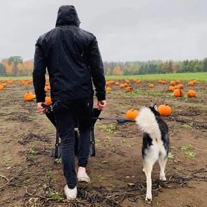 Meet your Posher, William-anthony